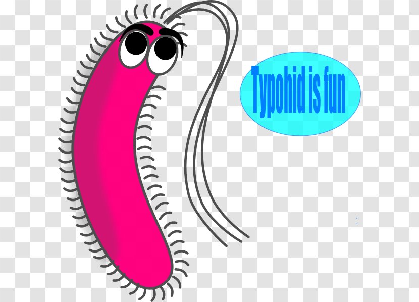 Bacterial Cell Structure Microbiology Microorganism Clip Art - Cartoon - Math Border Transparent PNG