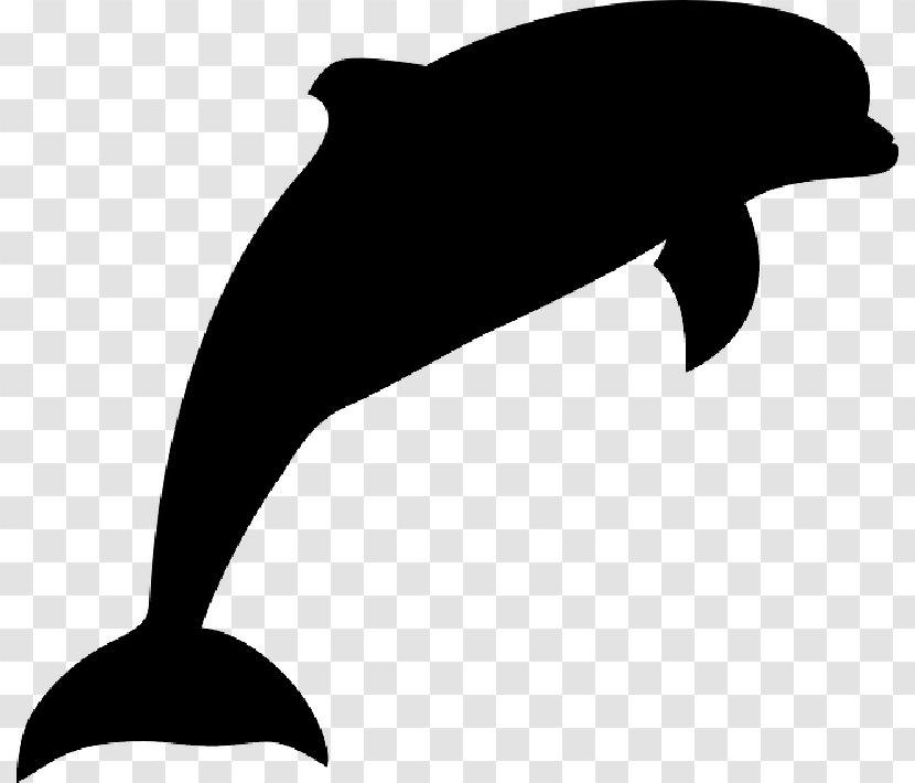 Dolphin Image Clip Art - Tucuxi - Whale Transparent PNG
