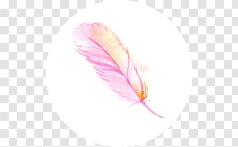 Pink M Feather Close-up Transparent PNG