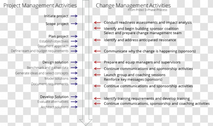 Document Line - An Illegal Assignment; A Fine Assignment Transparent PNG