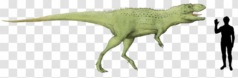 Indosaurus Tyrannosaurus Indosuchus Isisaurus Abelisaurus - Majungasaurus - Ancient Stone Axe Drawings Transparent PNG