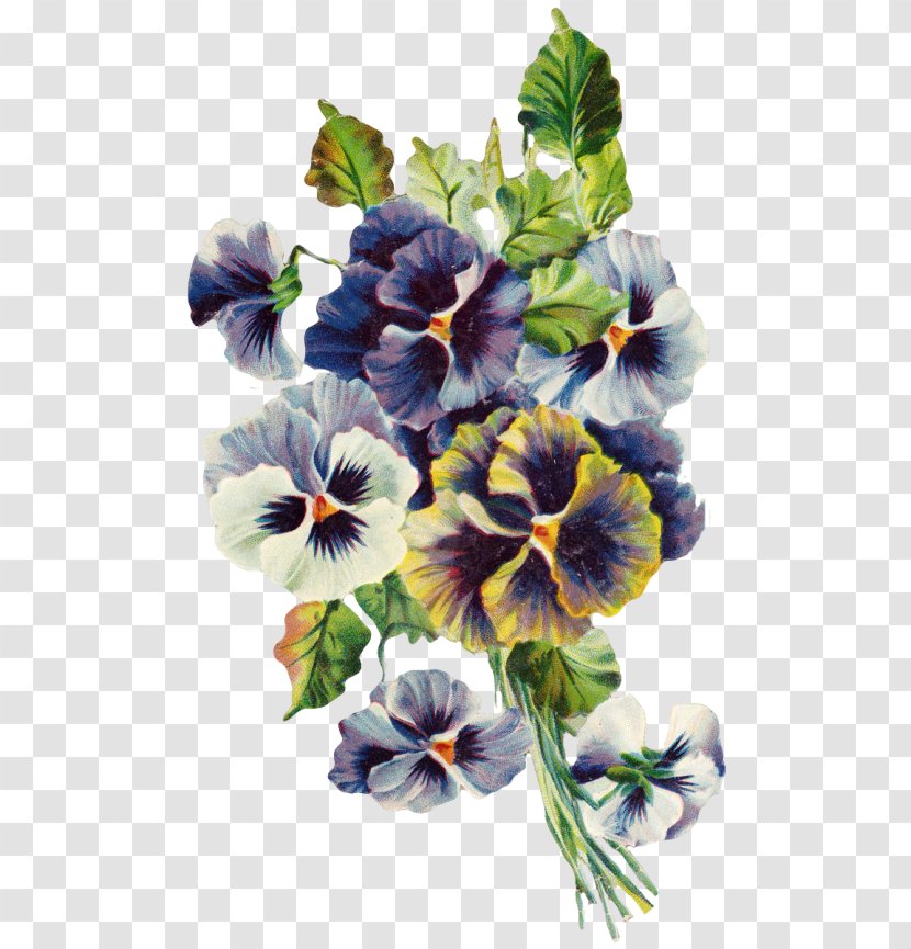 Pansy Violet Viola Mandshurica Watercolor Painting - Family Transparent PNG