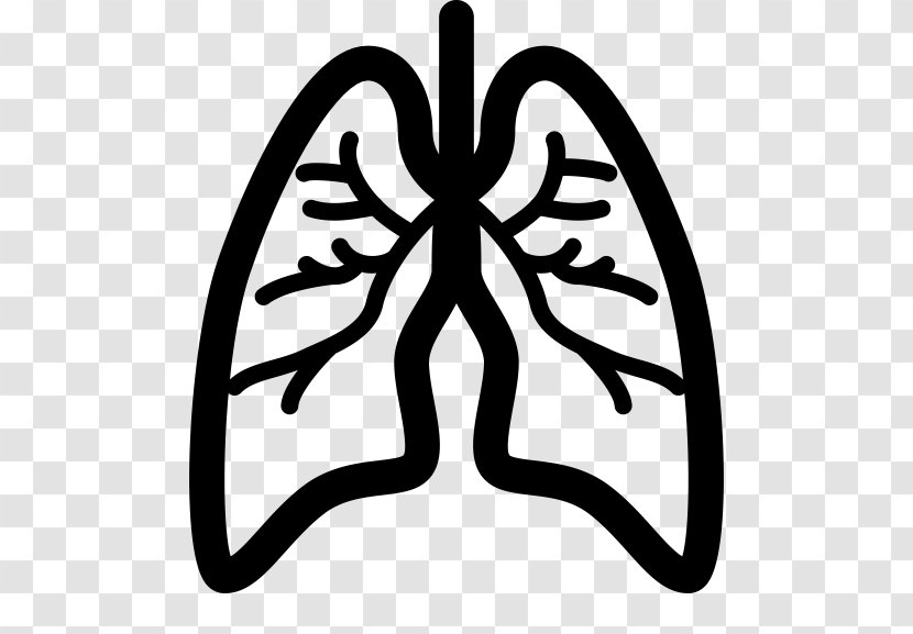 Lung Cancer Eddie Kaspbrak Respiratory Disease Mesothelioma - Frame - Flower Transparent PNG
