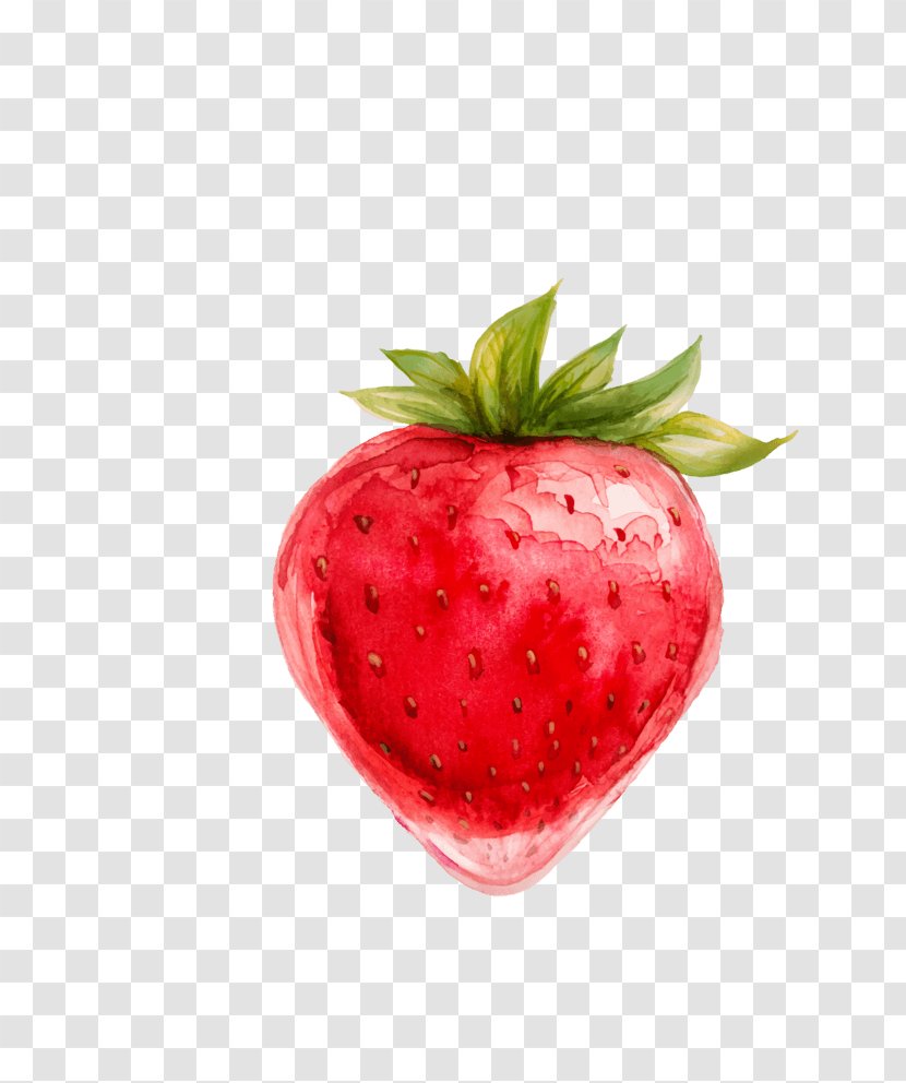 Vector Graphics Clip Art Drawing Illustration - Fruit - Cute Strawberry Transparent PNG