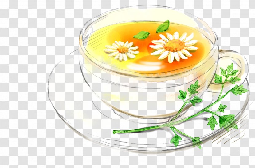 Flowering Tea Chrysanthemum Hibiscus - Scented Transparent PNG