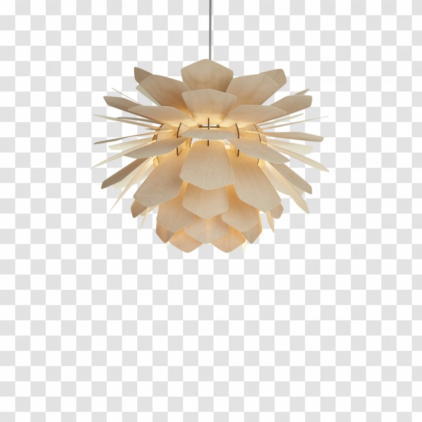 Light Fixture Pendant Conifer Cone Lighting - Incandescent Bulb - Pine Transparent PNG