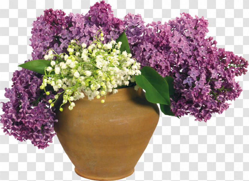 Flowerpot Lilac Clip Art - Lily Of The Valley Transparent PNG