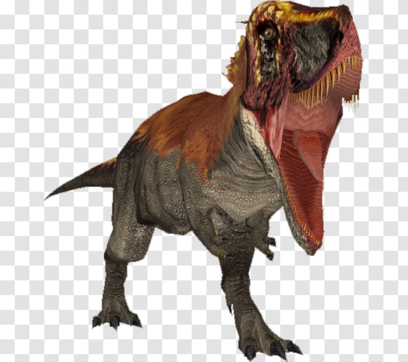 Tyrannosaurus Tarbosaurus Velociraptor Dinosaur Rajasaurus - Theropods Transparent PNG
