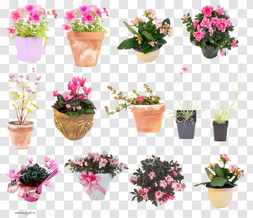 Flowerpot Clip Art - Floristry Transparent PNG