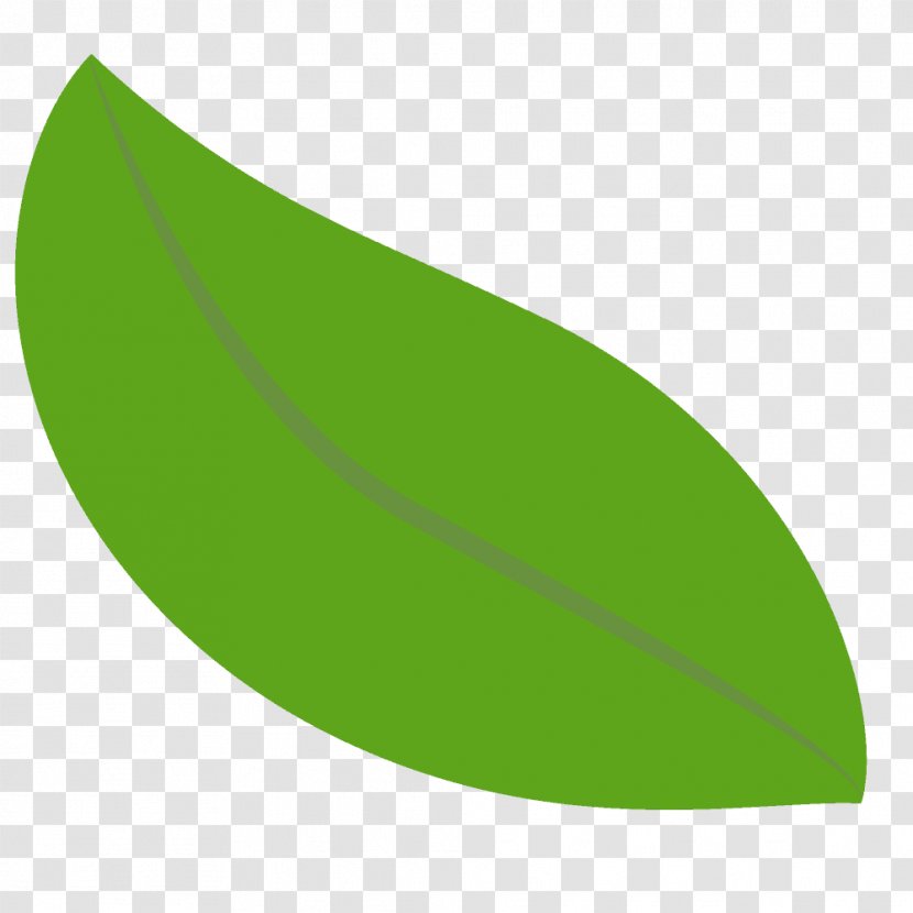 Illustration Ladybird Beetle Leaf Text Product Design - Lawn - Plant Transparent PNG