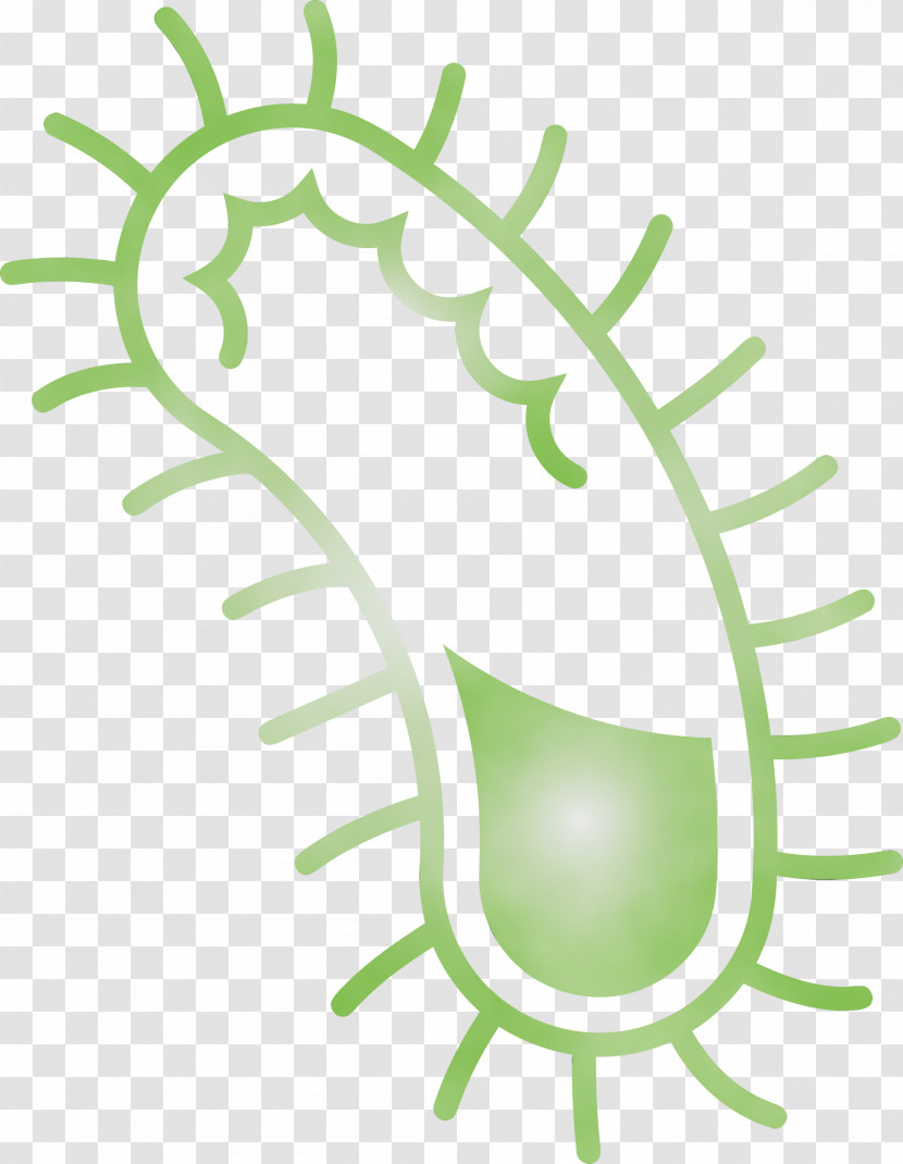 Green Leaf Plant Vascular Plant Transparent PNG