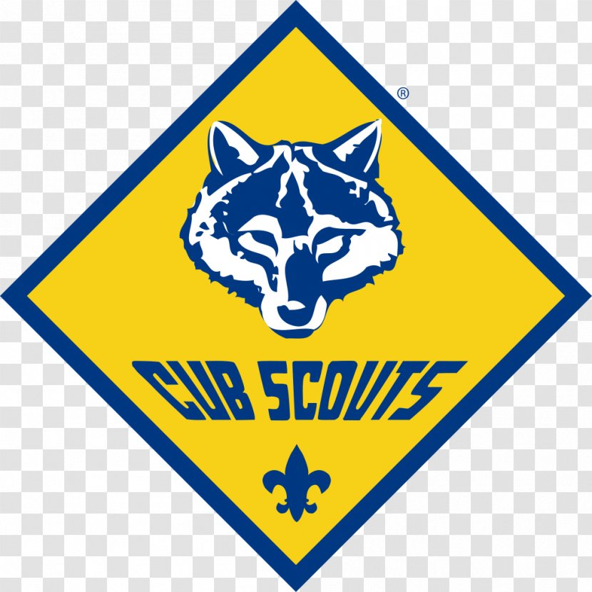 Scouting For Boys Pinewood Derby Gulf Coast Council Cub Boy Scouts Of America - Scout Transparent PNG