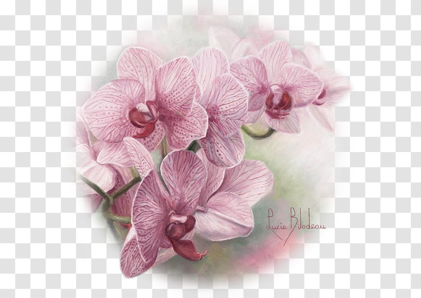 Watercolor Painting Oil Art - Orchid Transparent PNG