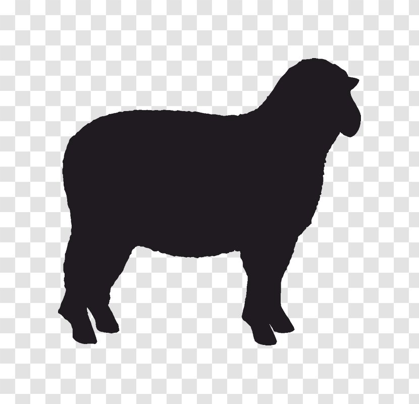 Sheep Sticker Stencil - Livestock Transparent PNG