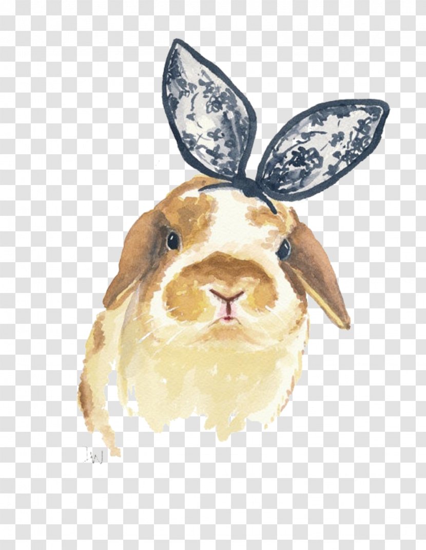 Holland Lop Rabbit Watercolor Painting Printmaking - Hare - Lace Bow Picture Material Transparent PNG