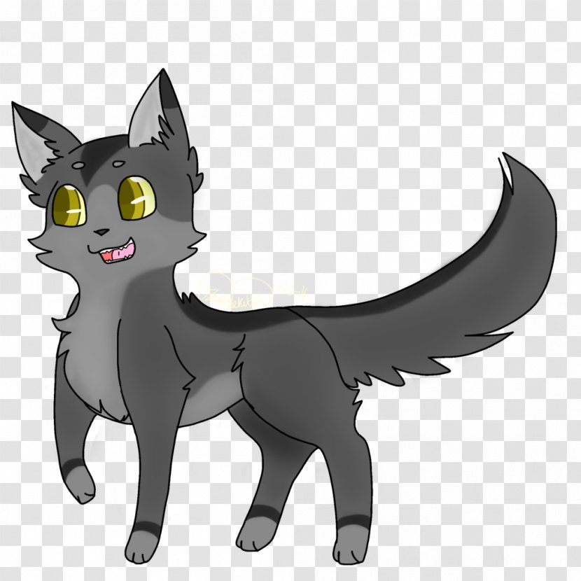Whiskers Black Cat Warriors Graystripe - Art Transparent PNG