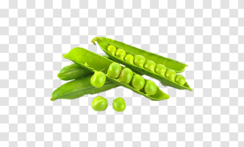 Snap Pea Snow Pigeon Dal Vegetable - Commodity Transparent PNG