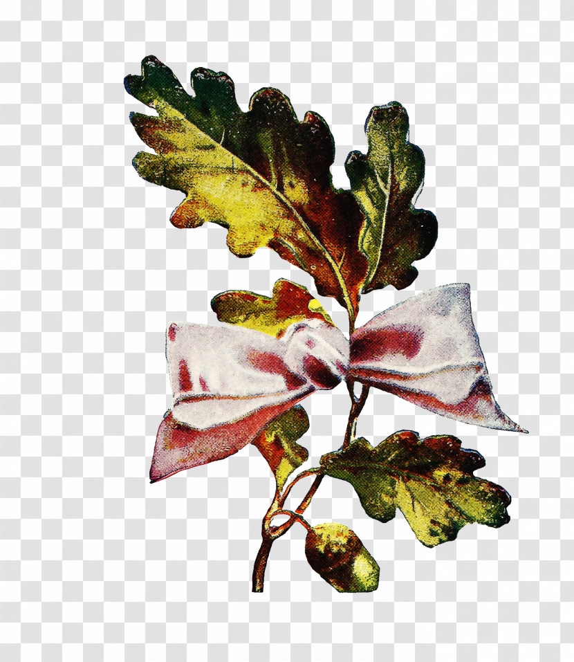 Flower Leaf Plant Branch Tree Transparent PNG