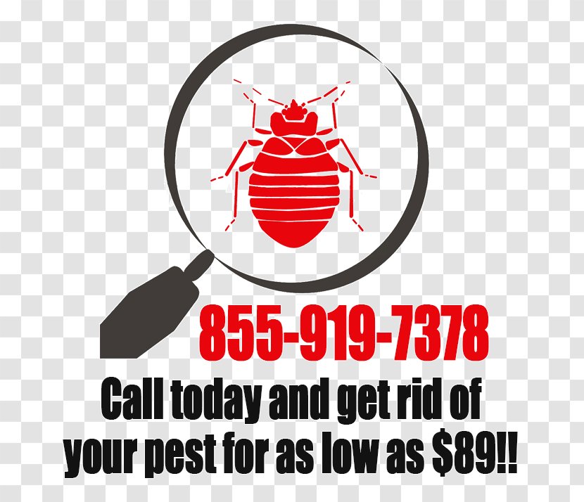 Bed Bug Pest Control Anaheim Marcela R. Font, Lac - California - R Font Transparent PNG