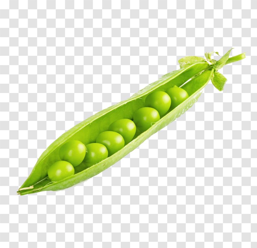 Pea Edamame Bean - Vegetable - He Opened The Shell Peas Transparent PNG