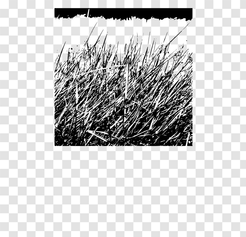 Desktop Wallpaper Clip Art - Photography - Night Sky Fireflies Grass Background Transparent PNG
