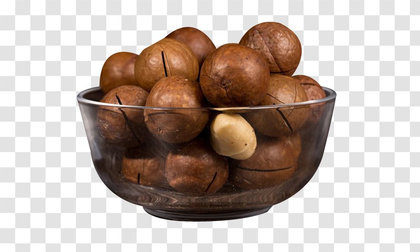 Australian Cuisine Macadamia Nut Walnut Transparent PNG