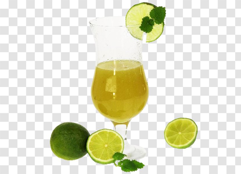 Limeade Limonana Lemonade Cocktail Garnish - Drink - Lime Fruit Transparent PNG