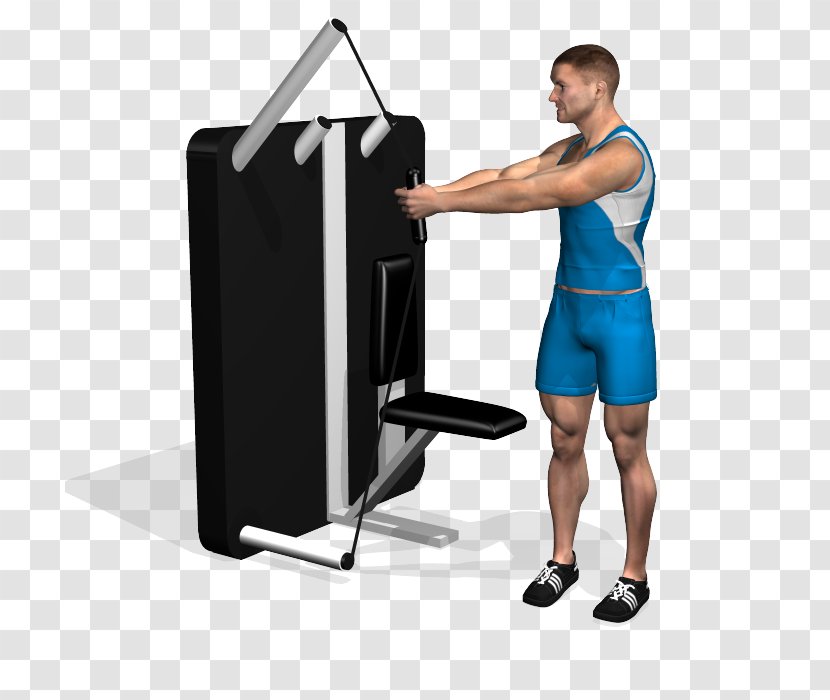 Shoulder Cable Machine Rectus Abdominis Muscle Crunch Exercise - Standing Start Transparent PNG
