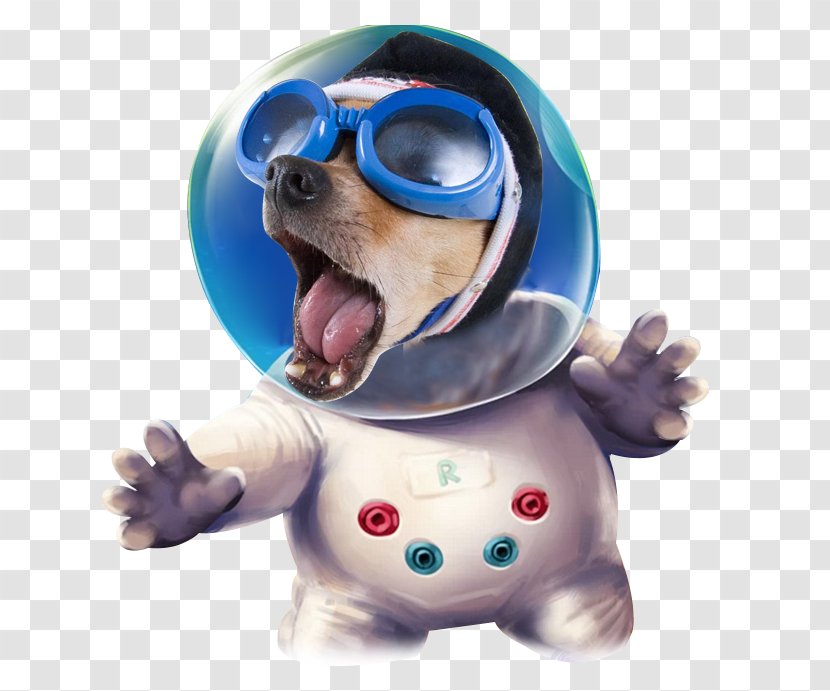 Dog Cartoon - Space Transparent PNG