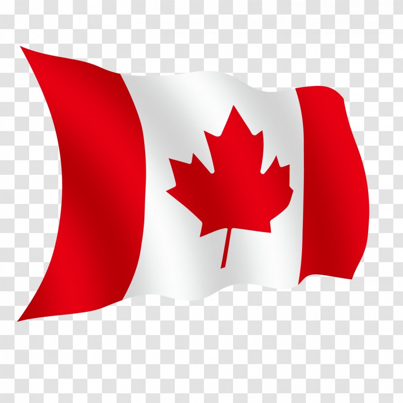 Flag Of Canada 150th Anniversary Day Maple Leaf - Foreign Transparent PNG