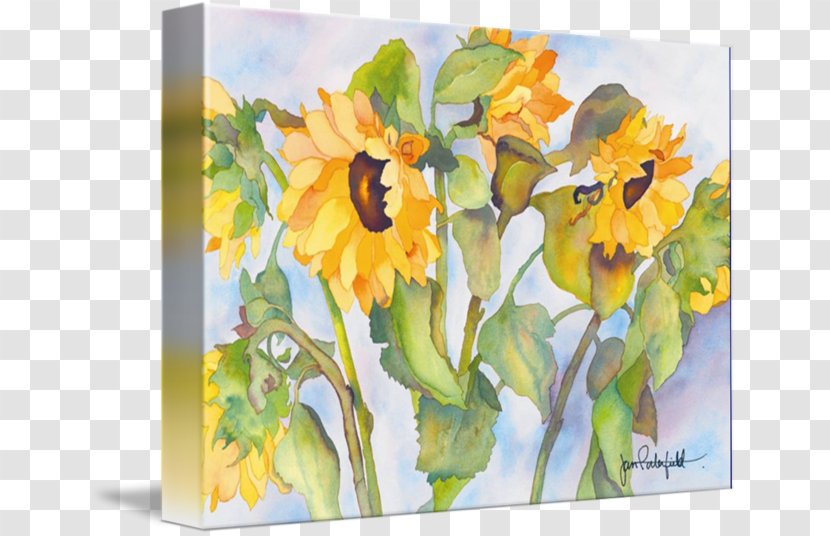 Floral Design Watercolor Painting Gallery Wrap Art Common Sunflower - Landscape Transparent PNG
