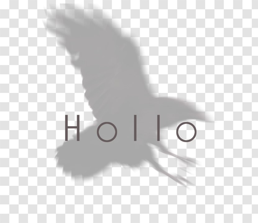 Logo Feather Font Brand Desktop Wallpaper - Bird Transparent PNG