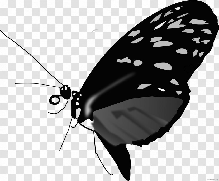 Monarch Butterfly Clip Art Image Transparent PNG