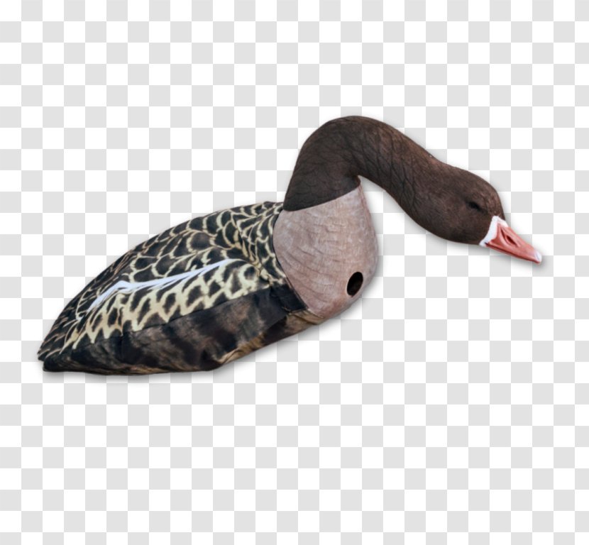 Water Background - Decoy - Neck Swan Transparent PNG