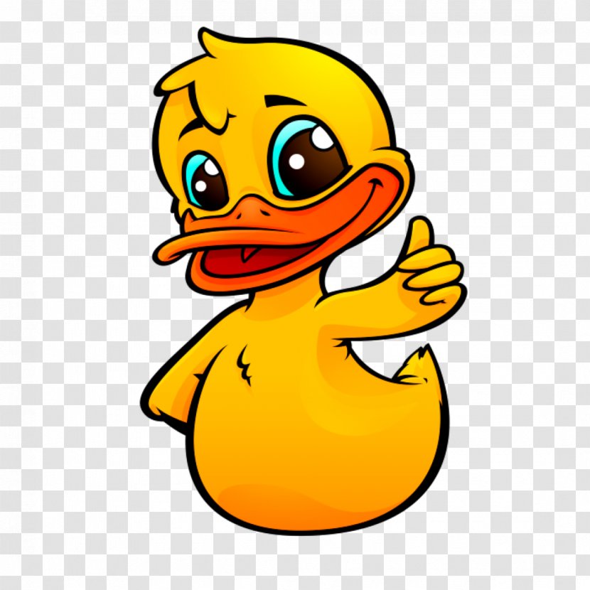 Graphic Design Web Rubber Duckers Eastleigh - Water Bird Transparent PNG