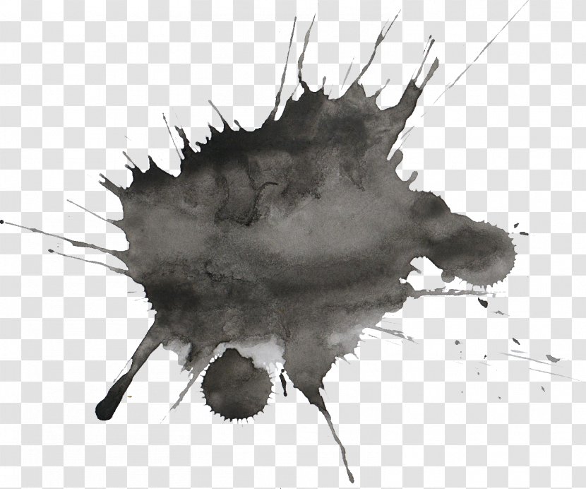 Transparent Watercolor Black And White Painting Drawing Transparent PNG