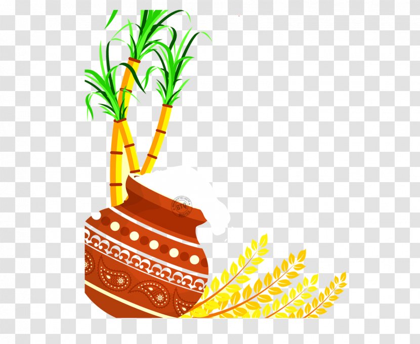 Thai Pongal Wish Happiness Makar Sankranti - Festival - Sugar Cane Transparent PNG