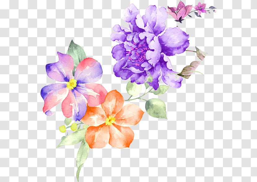 Floral Design Watercolor Painting Illustration - Motif - Peony Transparent PNG
