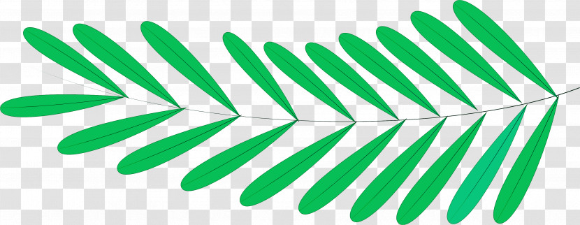 Leaf Plant Stem Angle Line Point Transparent PNG