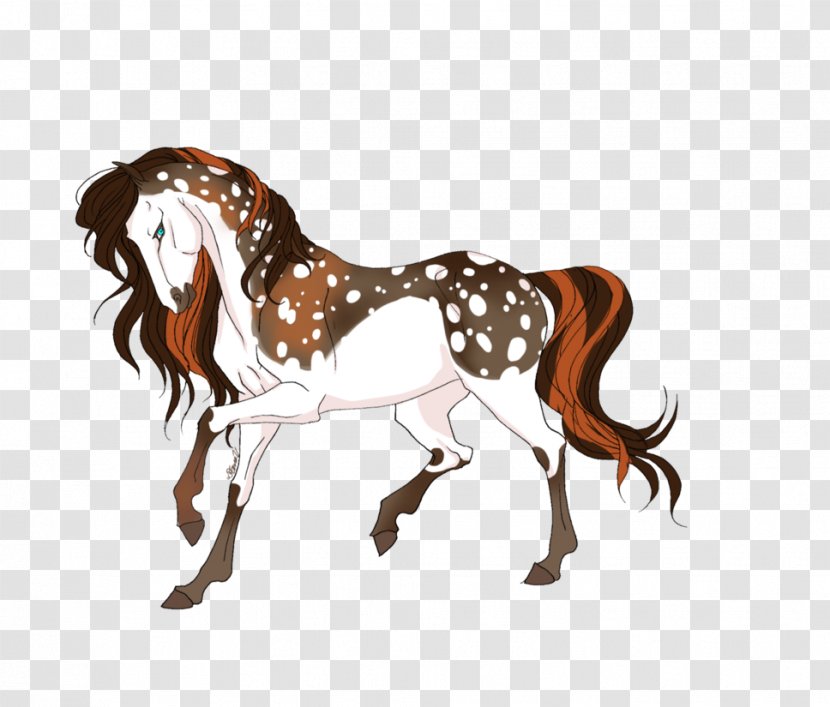 Pony Mustang Stallion Foal Colt - Horse Like Mammal Transparent PNG