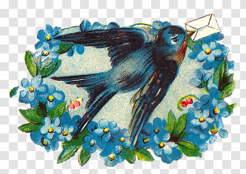 Bluebird Romance Clip Art - Fauna - Love Birds Transparent PNG