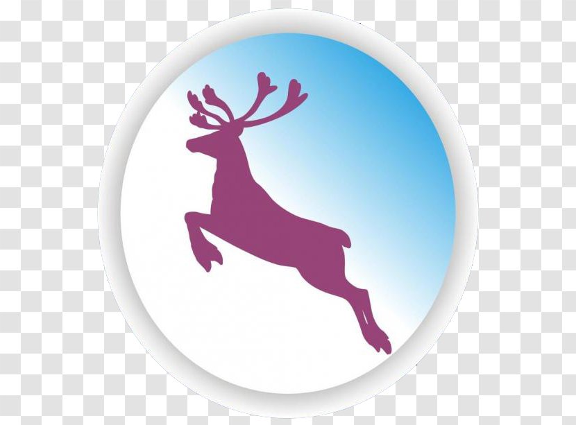 Reindeer - Purple - Tame,deer Transparent PNG