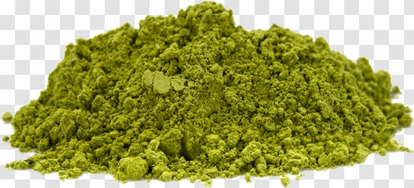 Hemp Protein Powder Bodybuilding Supplement - Leaf Vegetable - Moringa Transparent PNG