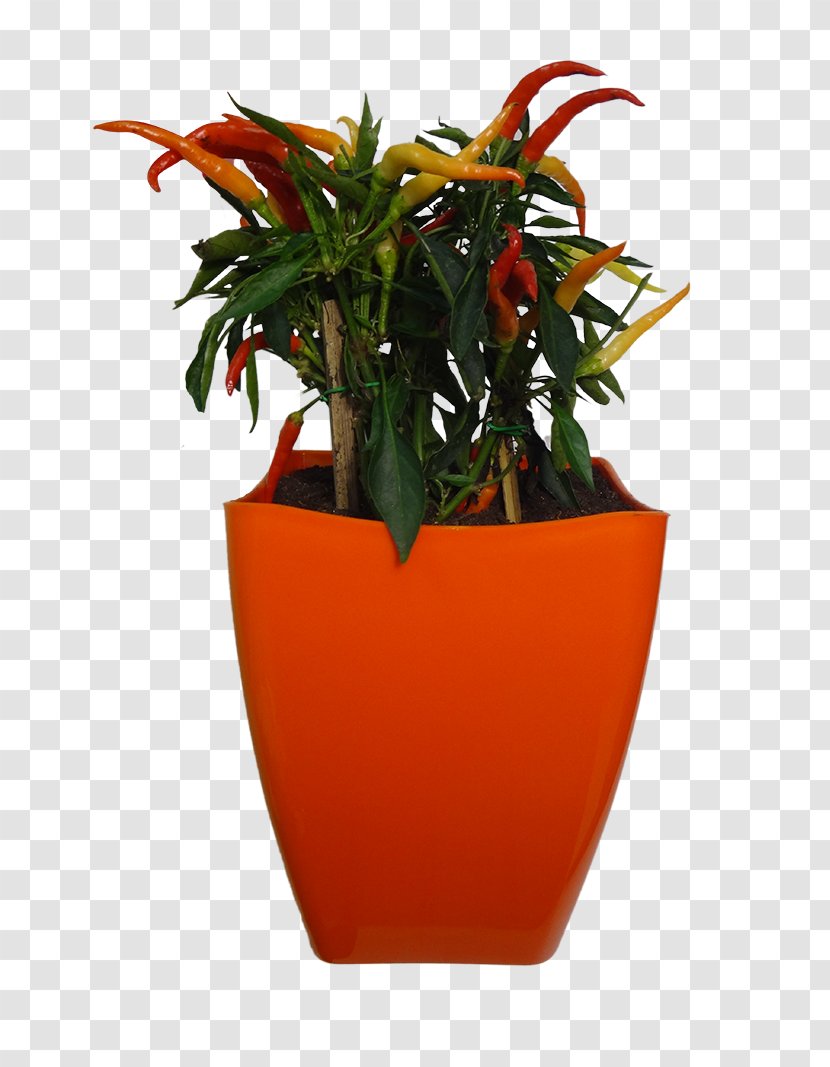 Flowerpot Vase Orange Houseplant - Color Transparent PNG