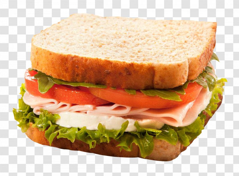 Panini Ham And Cheese Sandwich Italian Dressing Chicken Club - Submarine Transparent PNG