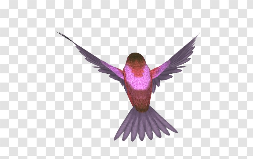 Bird Image Animal Vector Graphics - Lofter - Name Mia Transparent PNG