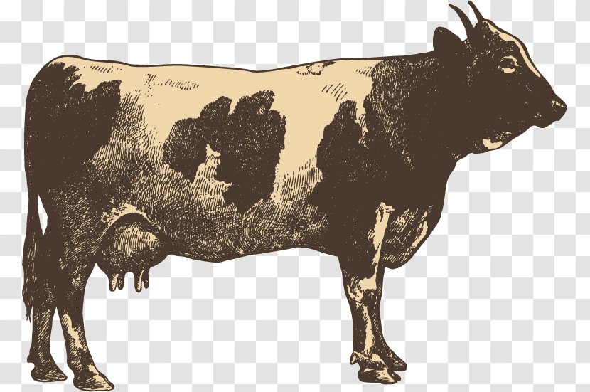 Campylobacter Jejuni Blandford Fair Cattle Transmission Food - Horn - Cow Hand-painted Sketch Transparent PNG