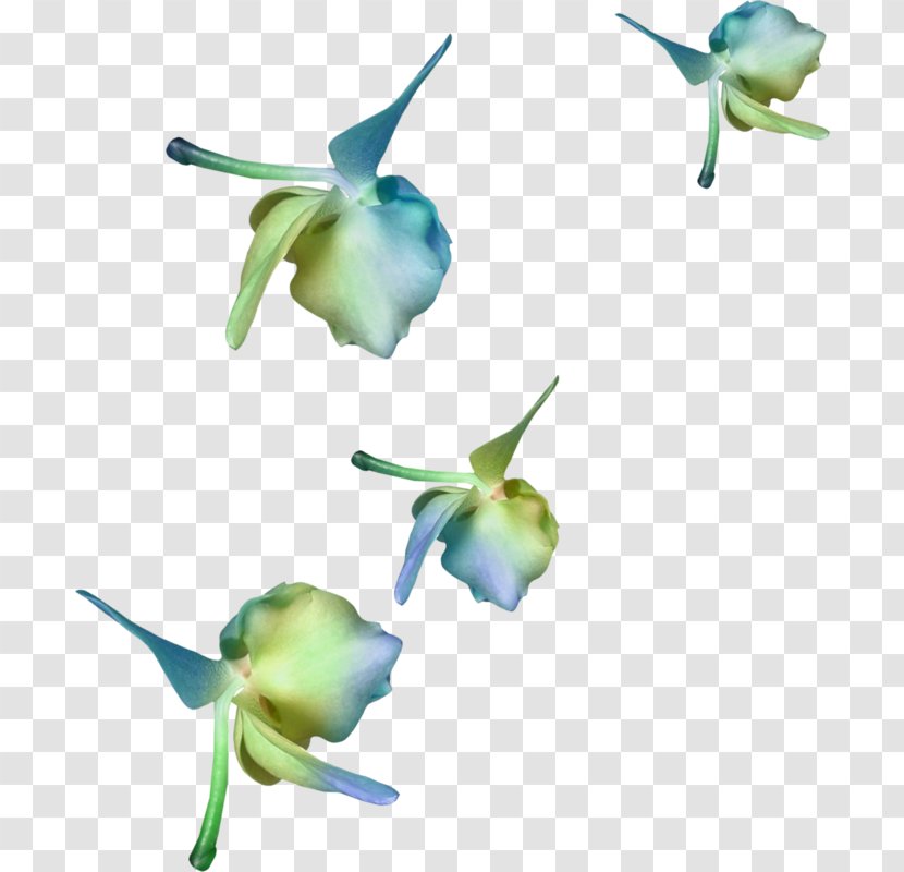 Petal Flower Desktop Wallpaper - Cut Flowers Transparent PNG