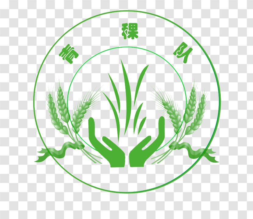 Barley Logo Clip Art - Grasses - Team Transparent PNG