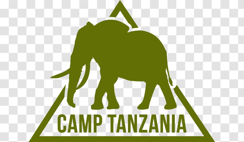 Camps International Mount Kilimanjaro Kenya Summer Camp Volunteering - Leaf - Angkor Wat Transparent PNG